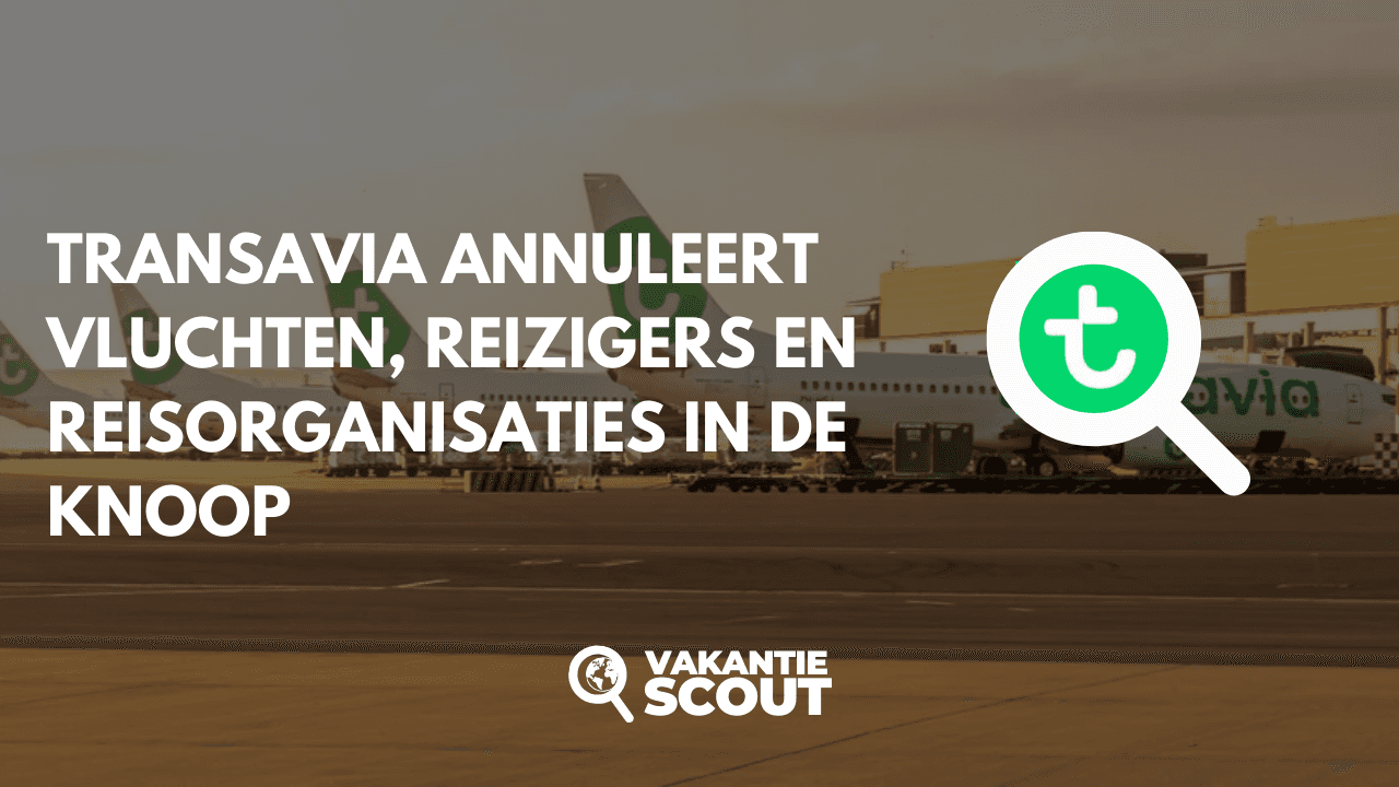 Transavia Nieuws