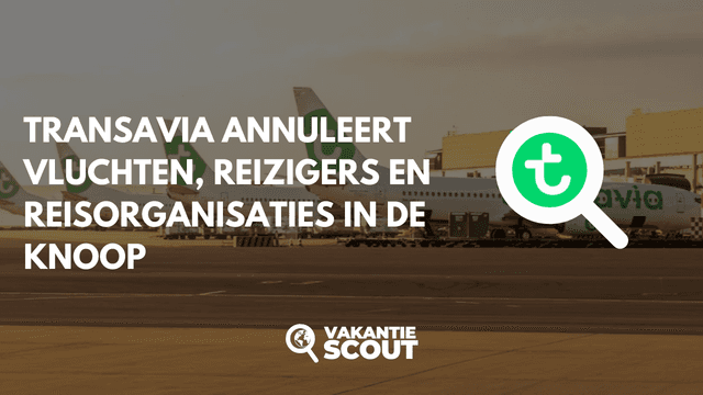 Transavia Annuleert Vluchten Midden in Hoogseizoen door Technische Problemen